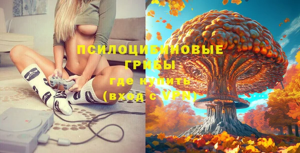 хмурый Абаза
