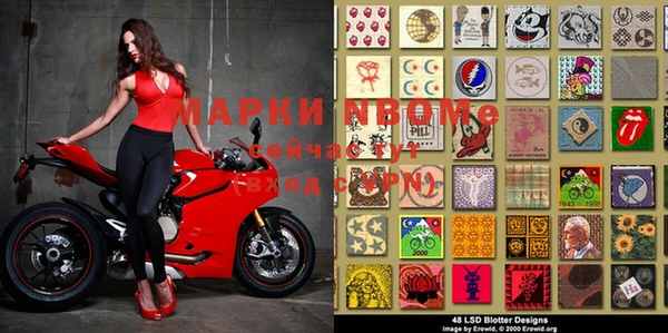 прущие грибы Алзамай