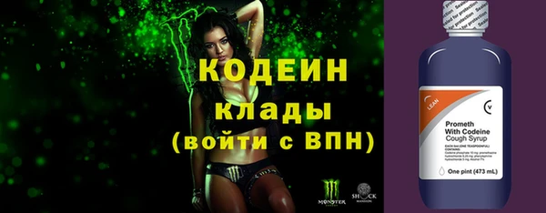 хмурый Абаза