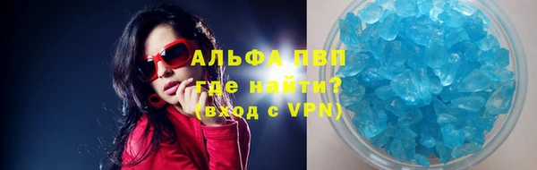 хмурый Абаза