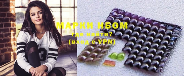 хмурый Абаза
