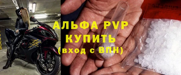 хмурый Абаза