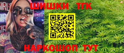 тгк Можга