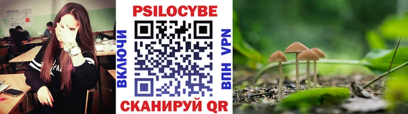 мориарти Telegram купить наркотики сайты Дербент Псилоцибиновые грибы прущие грибы
