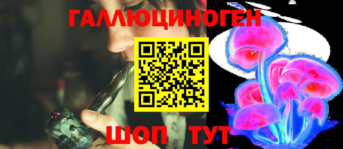 Галлюциногенные грибы Psilocybe  Вход с VPN  Дербент  Псилоцибиновые грибы мухоморы 